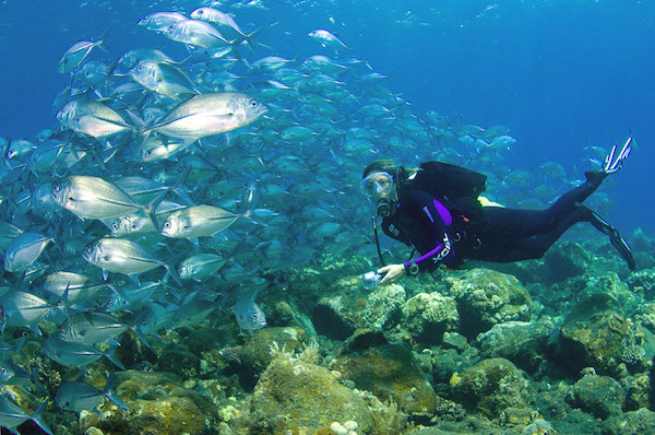 s5