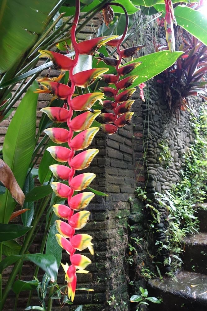 DSC04260---copie