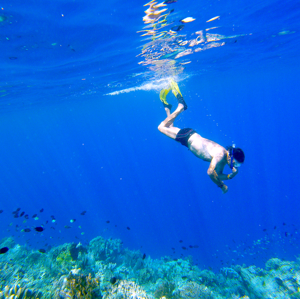 G0950632---copie