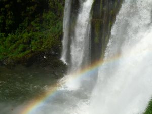 P1030556