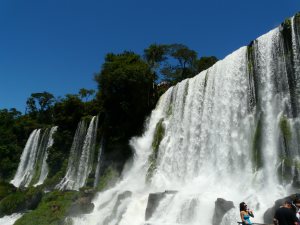 P1030558