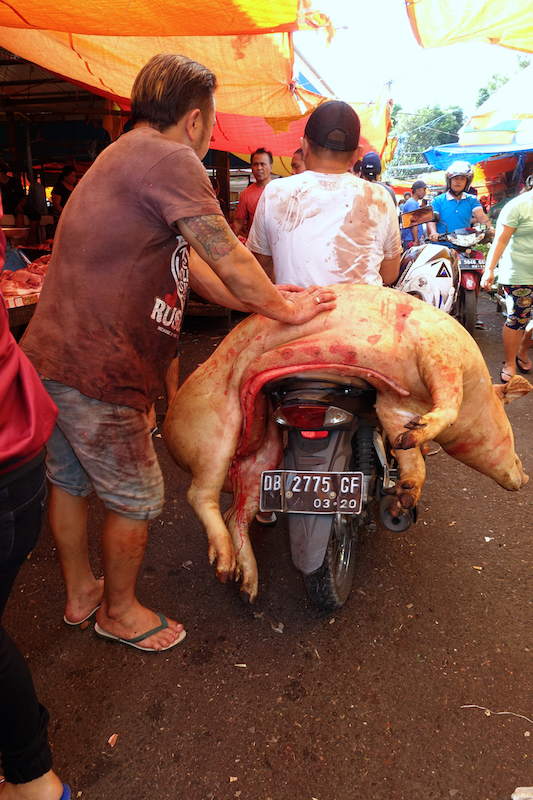 porc