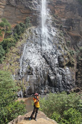 cascade ditin