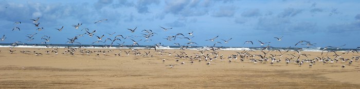 plage blanche