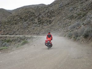 IMG 0264-3