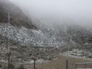 neige