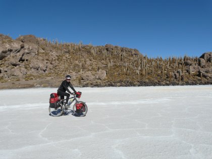 bru velo,cact.