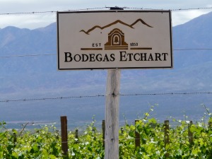 vignoblecafa