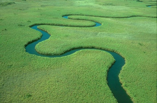 okavango delta