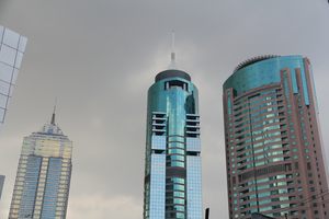 IMG 2479