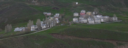 P1000393 (2)