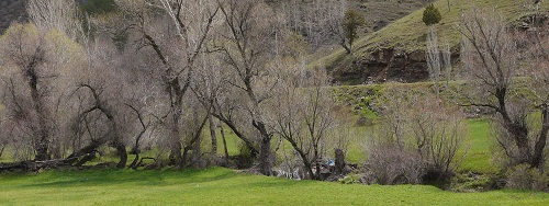 P1000399