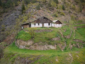 P1000443