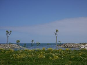 P1000518d
