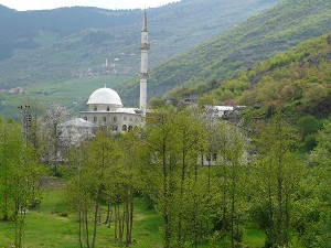 P1070586