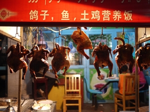 P1030631