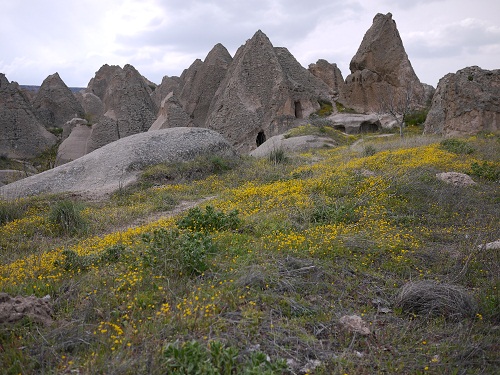 P1000117