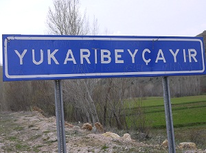 P1000146