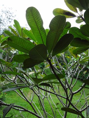 DSC05426